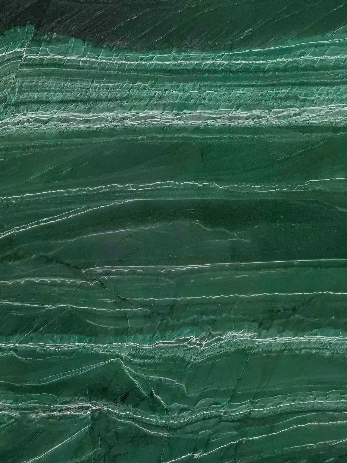Amazônia Green — detalhe 1