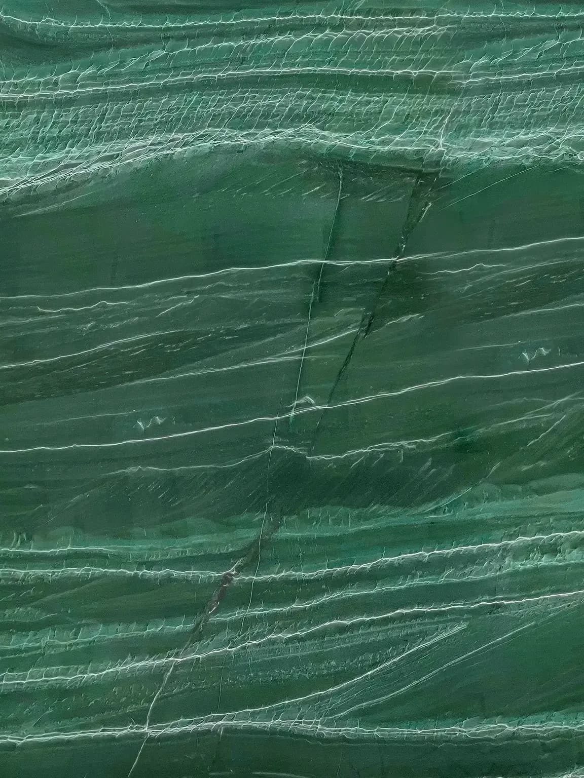 Amazônia Green — detalhe 3